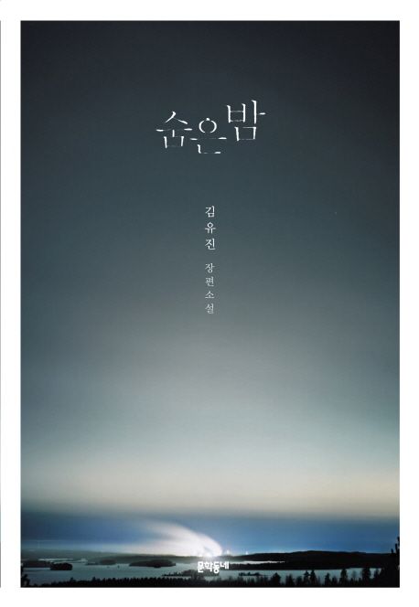 숨은 밤  : 김유진 장편소설