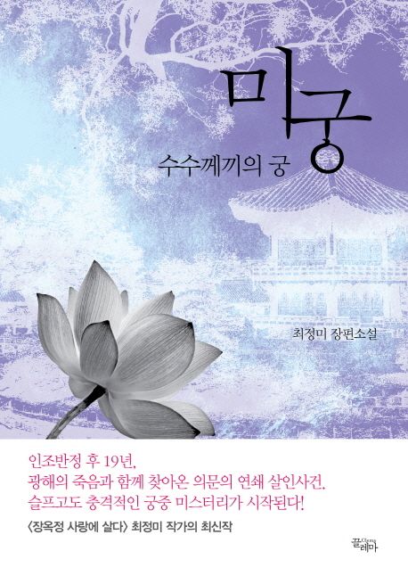 미궁:수수께끼의궁:최정미장편소설