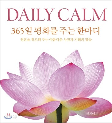 Daily calm : 365일 평화를 주는 한마디