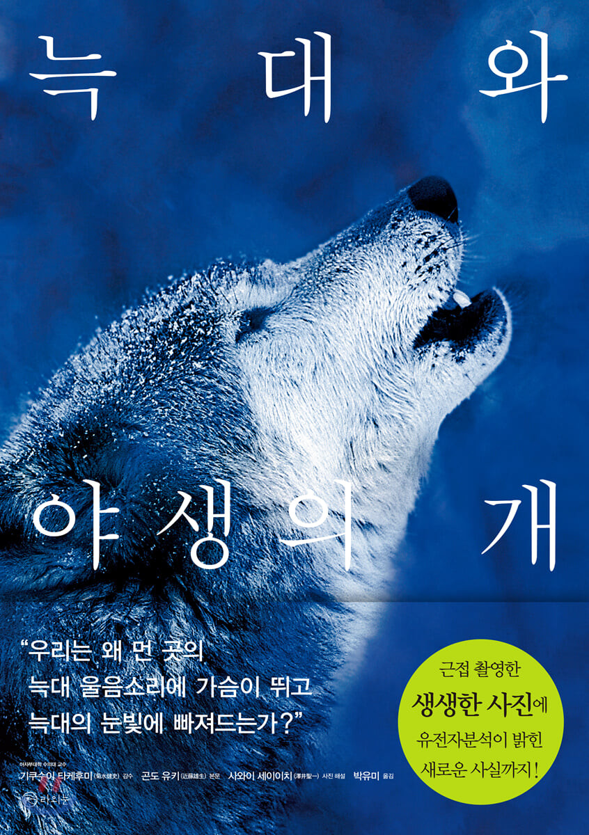 늑대와 야생의 개