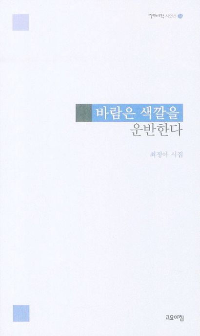 바람은 색깔을 운반한다- [전자책] : 최정아 시집