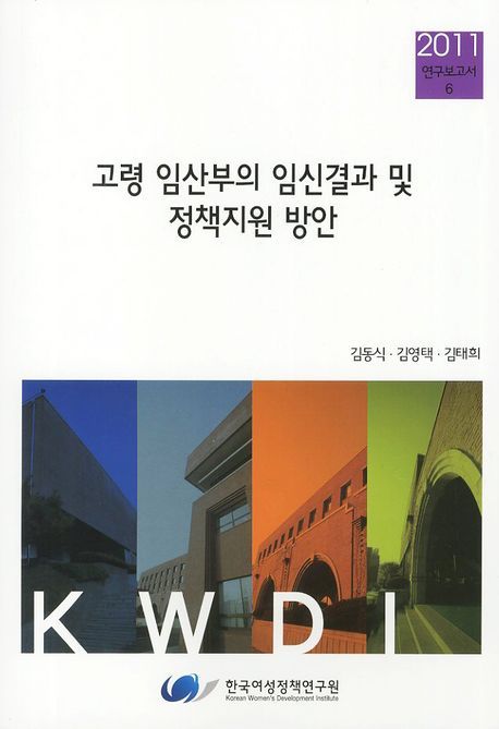 고령 임산부의 임신결과 및 정책지원 방안