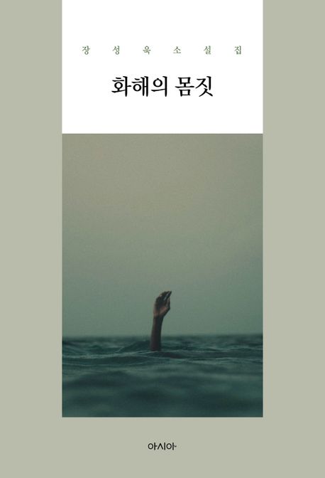 화해의 몸짓 : 장성욱 소설집 