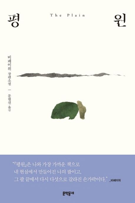 평원 = The plain : 비페이위 장편소설