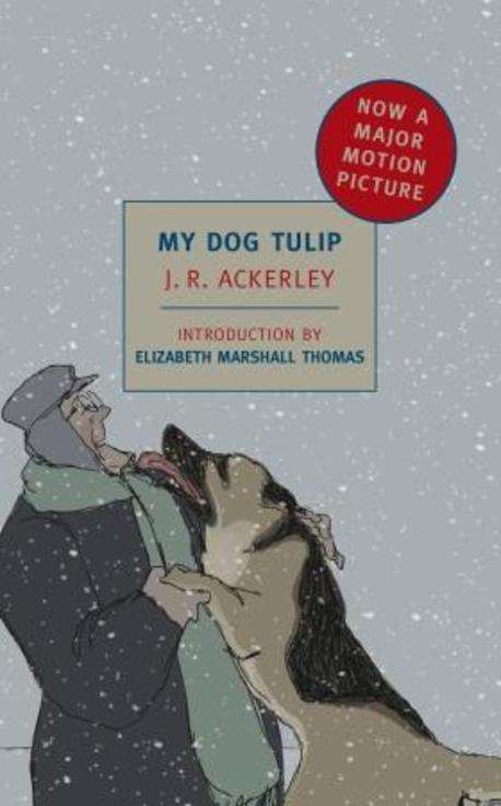 My dog Tulip / edited by J R Ackerley