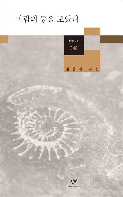 바람의 등을 보았다 : 김윤배 시집