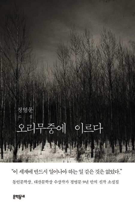 오리무중에 이르다  : 정영문 소설