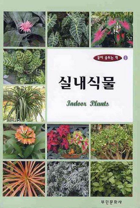 실내식물 = Indoor plants
