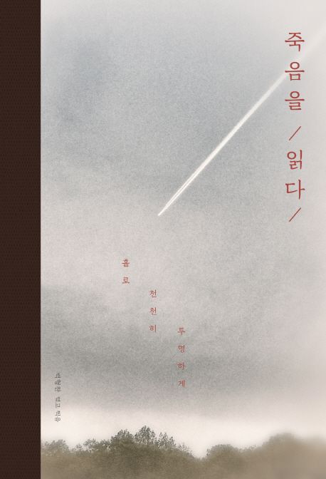 죽음을 읽다  : 홀로, 천천히, 투명하게