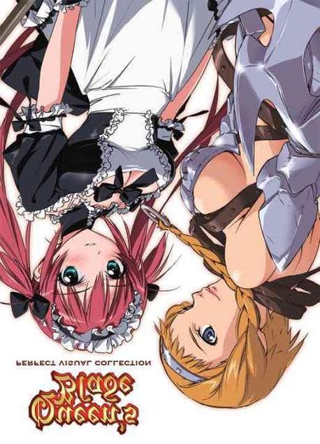 Queen’s Blade Perfect Visual Collection