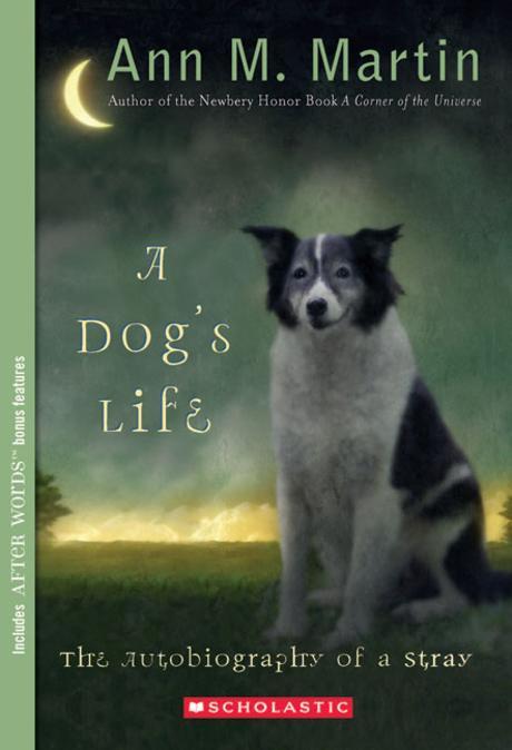 (A)Dog's Life: Autobiography of a Stray