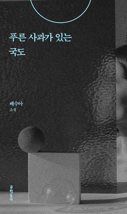 푸른 사과가 있는 국도 (배수아 소설집) 표지
