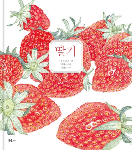 (15-4)딸기 표지
