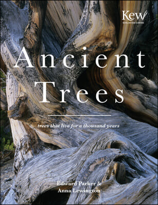 Ancient trees : Trees that live for a thousand years