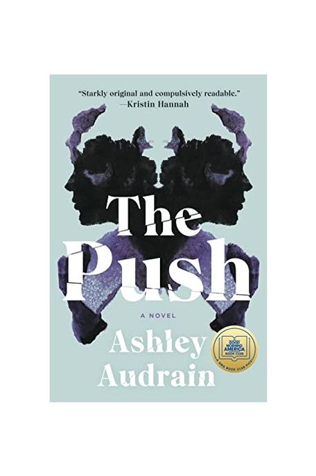 The Push (A Novel)