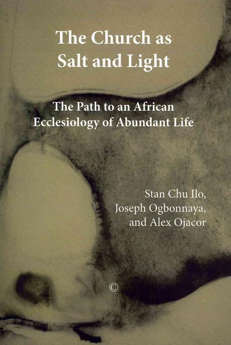 The church as salt and light : path to an african ecclesiology of abundant life