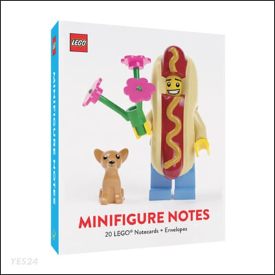 Lego Minifigure Notes