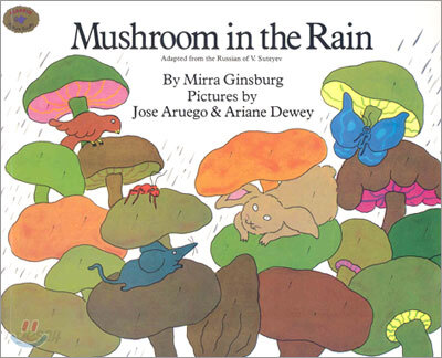 Mushroom in the Rain