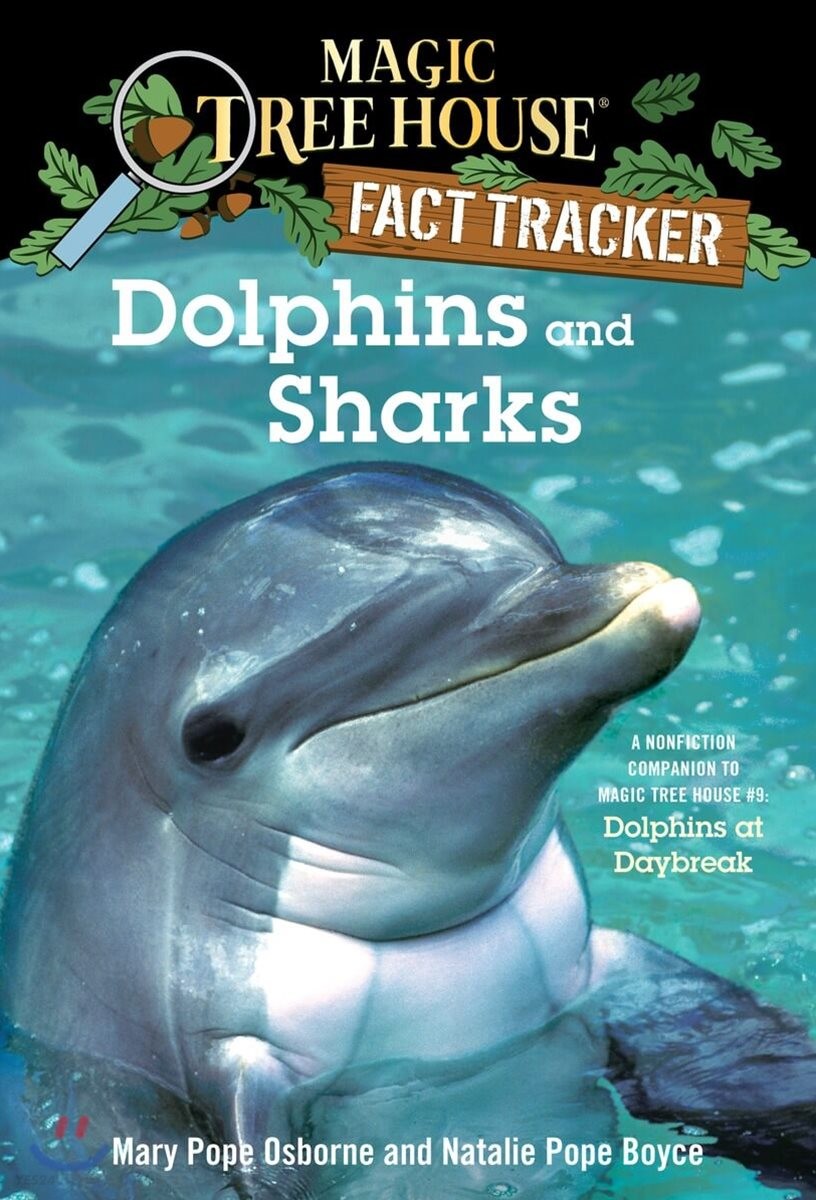 Dolphins and Sharks : A nonfiction companion to dolphins at daybreak