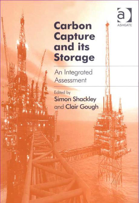 Carbon capture and its storage : an integrated assessment