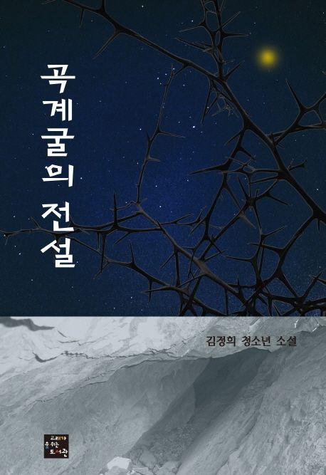 곡계굴의 전설 : 김정희 청소년 소설