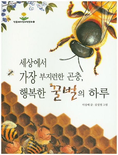 세상에서 가장 부지런한 곤충 행복한 꿀벌의 하루