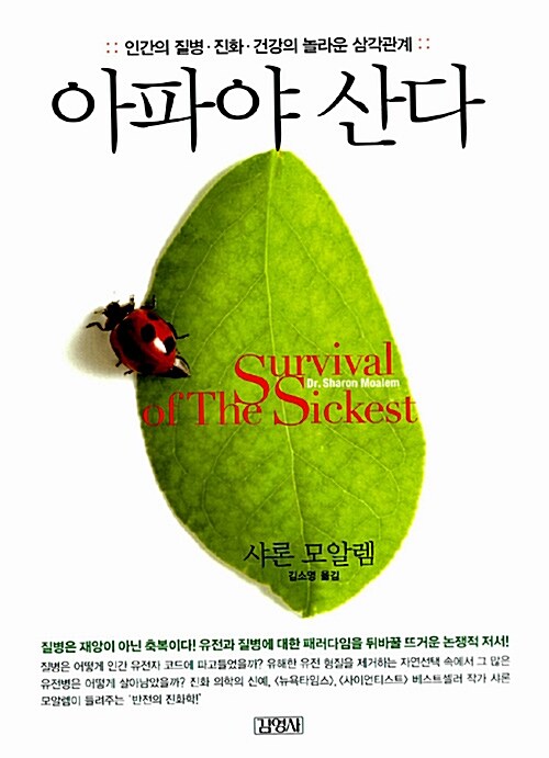 샤론 이미지