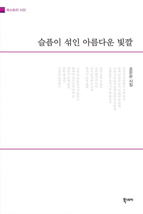 슬픔이 섞인 아름다운 빛깔 : 조은순 시집