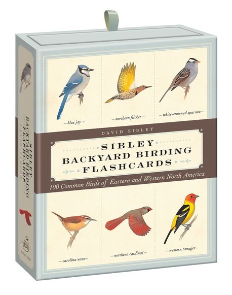 Sibley Backyard Birding Flashcards (100 Common Birds of Eastern and Western North America)