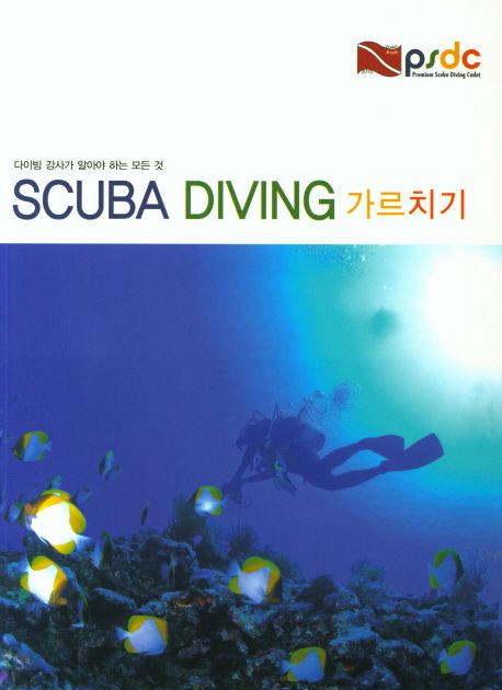 Scuba diving 가르치기  : 다이빙 강사가 알아야 하는 모든 것