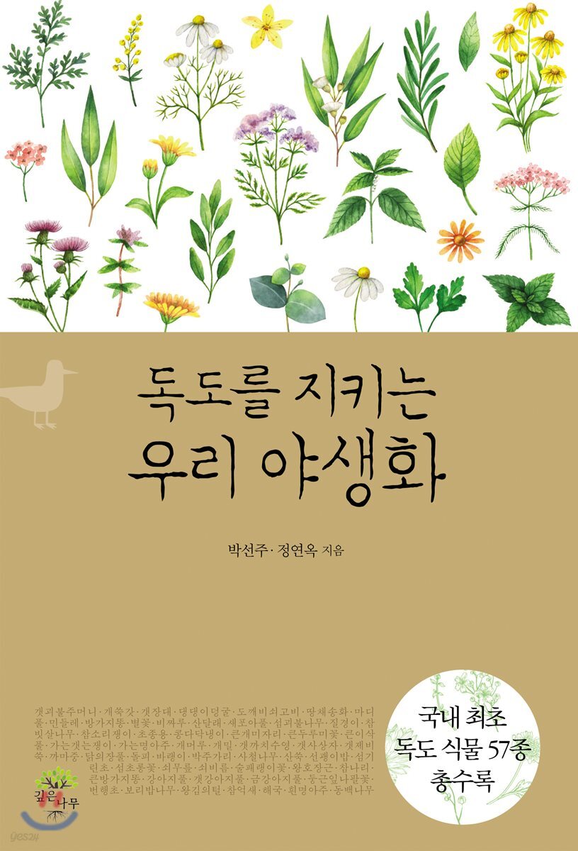 독도를 지키는 우리 야생화- [전자책] : 국내 최초 독도 식물 57종 총수록