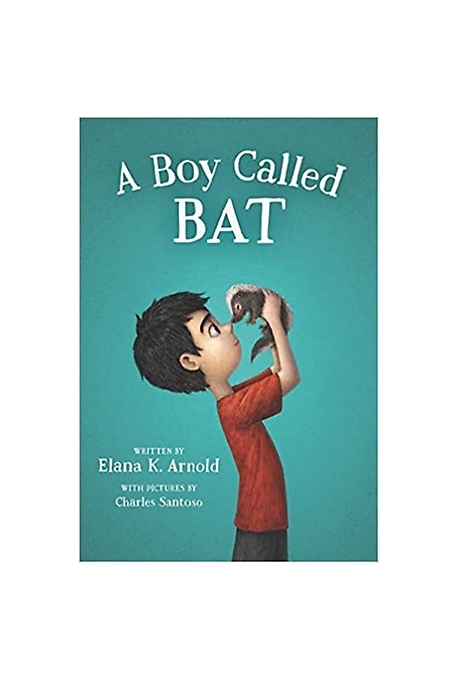 (A)Boy Called Bat