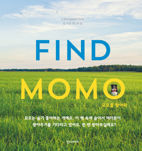 모모미디어 이미지