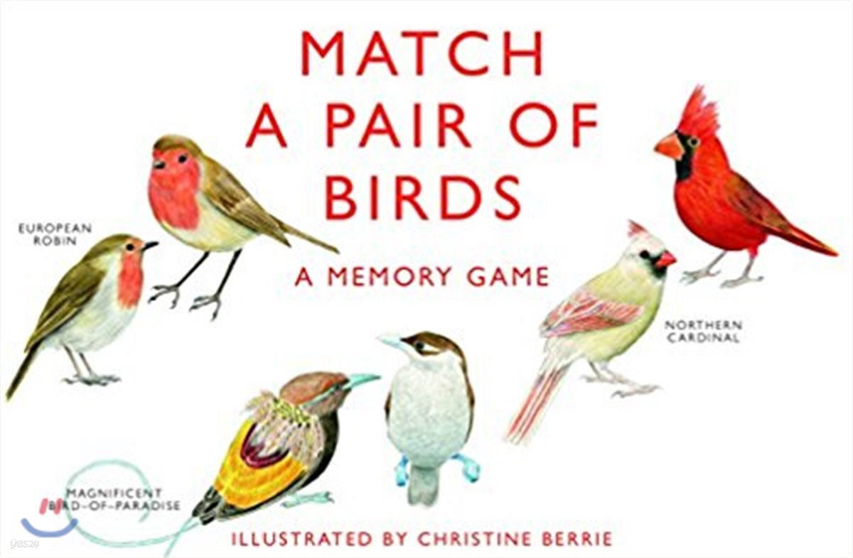 Match a Pair of Birds (A Memory Game)