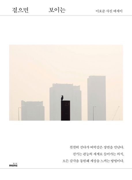 걸으면 보이는 (이호준 사진 에세이)