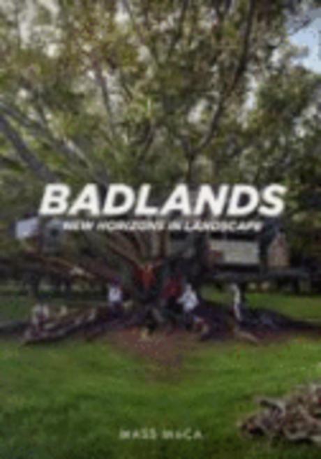 Badlands: New Horizons in Landscape (New Horizons in Landscape)