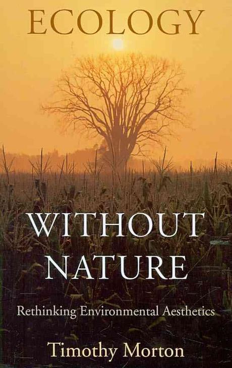 Ecology without Nature : Rethinking Environmental Aesthetics (Rethinking Environmental Aesthetics)