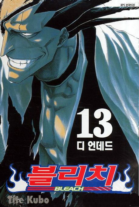 블리치 = Bleach. 13 : 디 언데드 / Tite Kubo 저 ; 오경화 번역