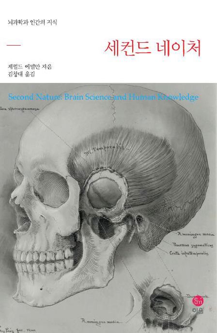세컨드 네이처 : 뇌과학과 인간의 지식