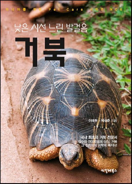 거북 : 낮은 시선 느린 발걸음