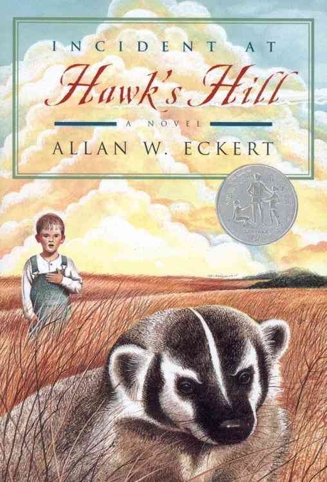 Incident at Hawks Hill  : a novel