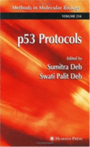 p53 Protocols [methods in molecular biology] Paperback
