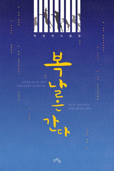 복날은 간다 : 박성천 소설집