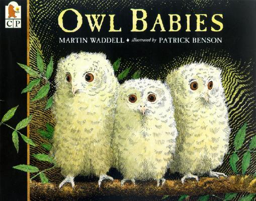 Owl Babies