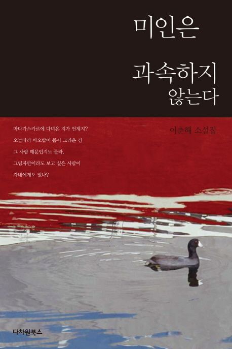 미인은 과속하지 않는다  : 이춘해 소설집 / 이춘해 지음