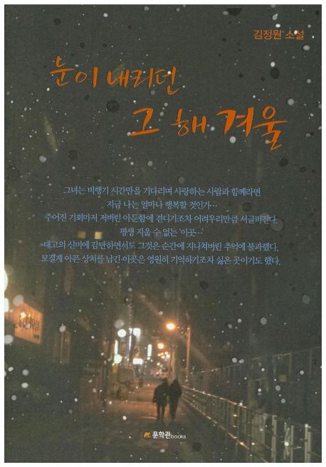 눈이 내리던 그 해 겨울 - [전자책]  : 김정원 소설