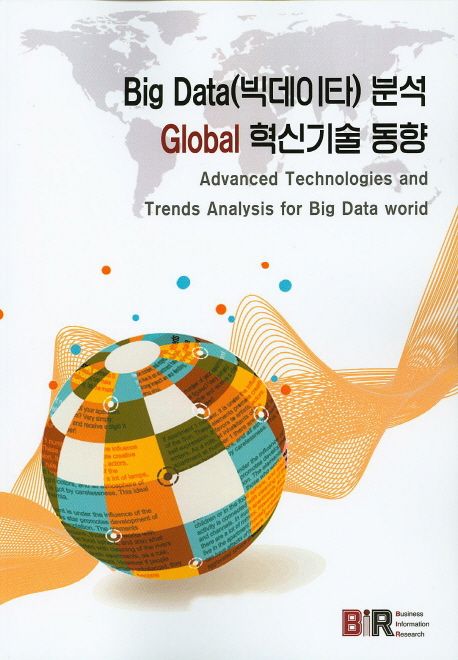 Big Data(빅데이타) 분석 Global 현신기술 동향
