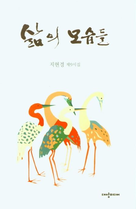삶의 모습들  : 지현경 제9시집