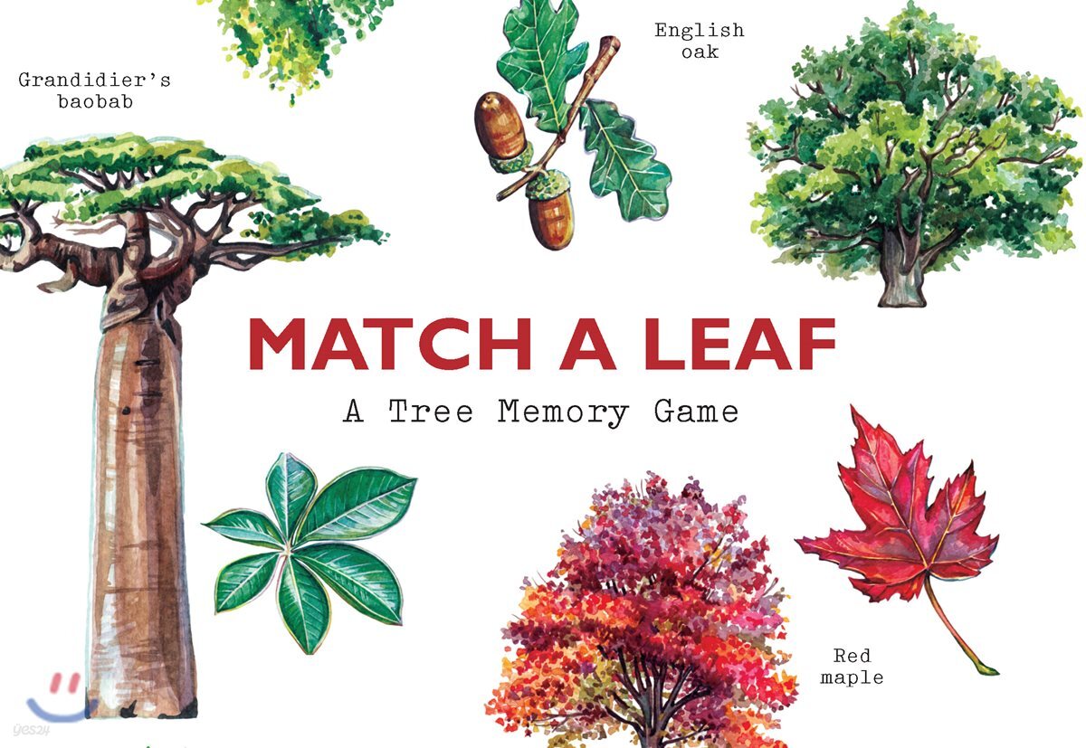Match a Leaf (A Tree Memory Game)