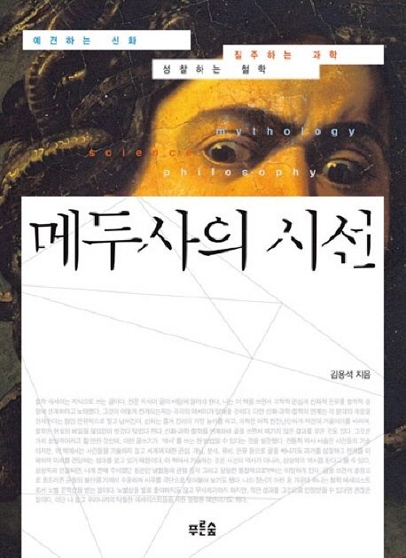 메두사의 시선 - [전자책] / 김용석 지음
